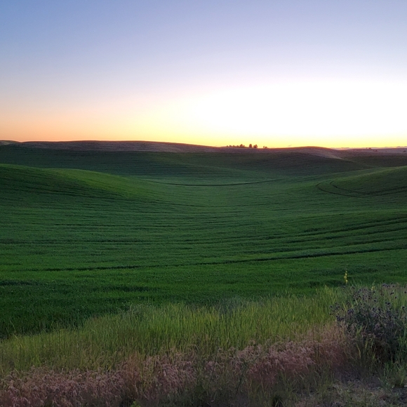 Meet your Posher, Bjarne - Picture 5 of 5